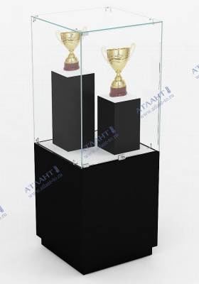 Музейная витрина В.М.П-2