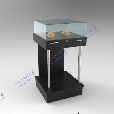 Витрина музейная ПМ5-600мм